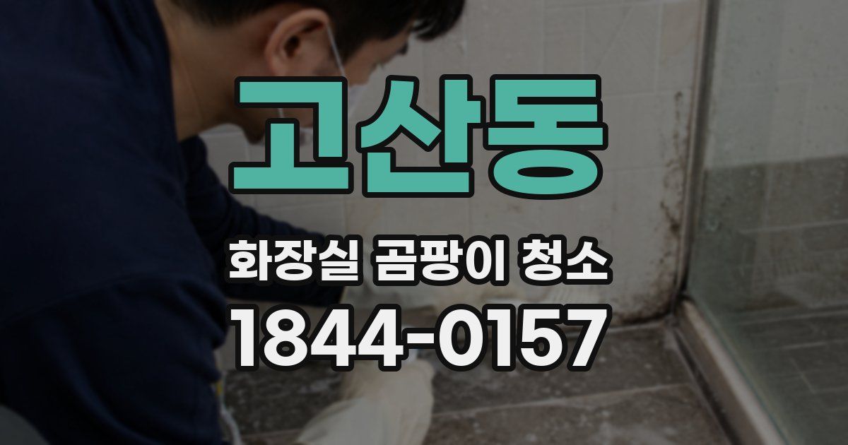 고산동 화장실 곰팡이 청소