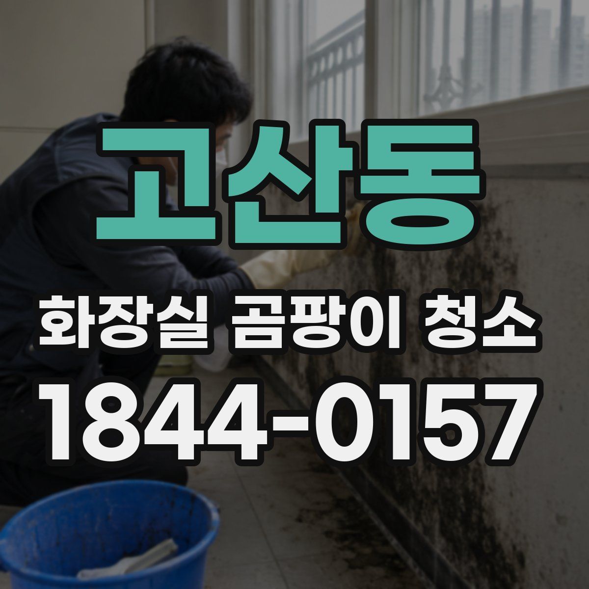 고산동 화장실 곰팡이 청소
