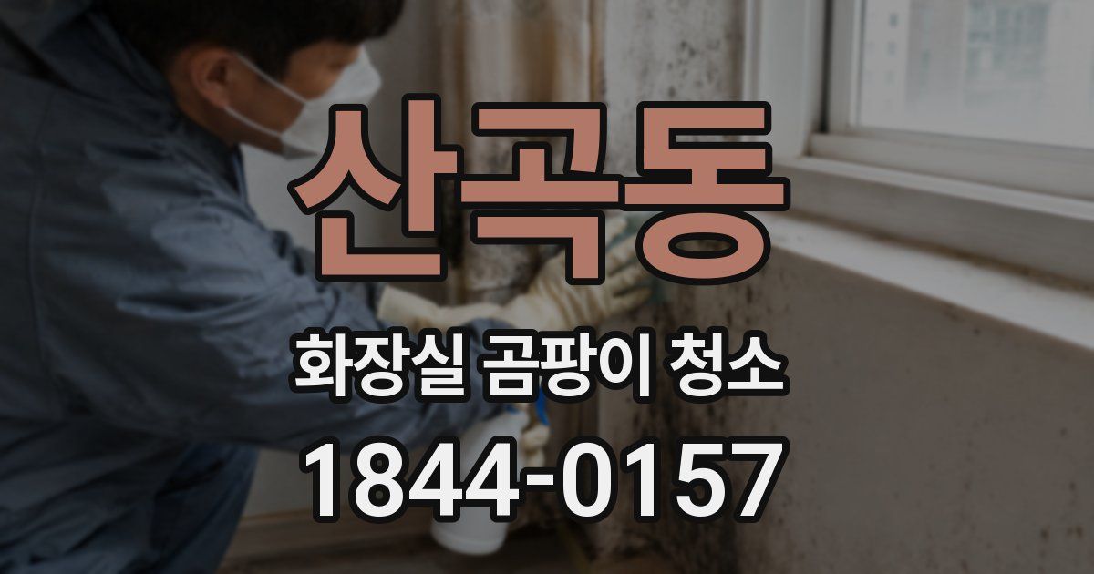 산곡동 화장실 곰팡이 청소