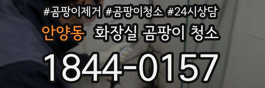 안양동 화장실 곰팡이 청소