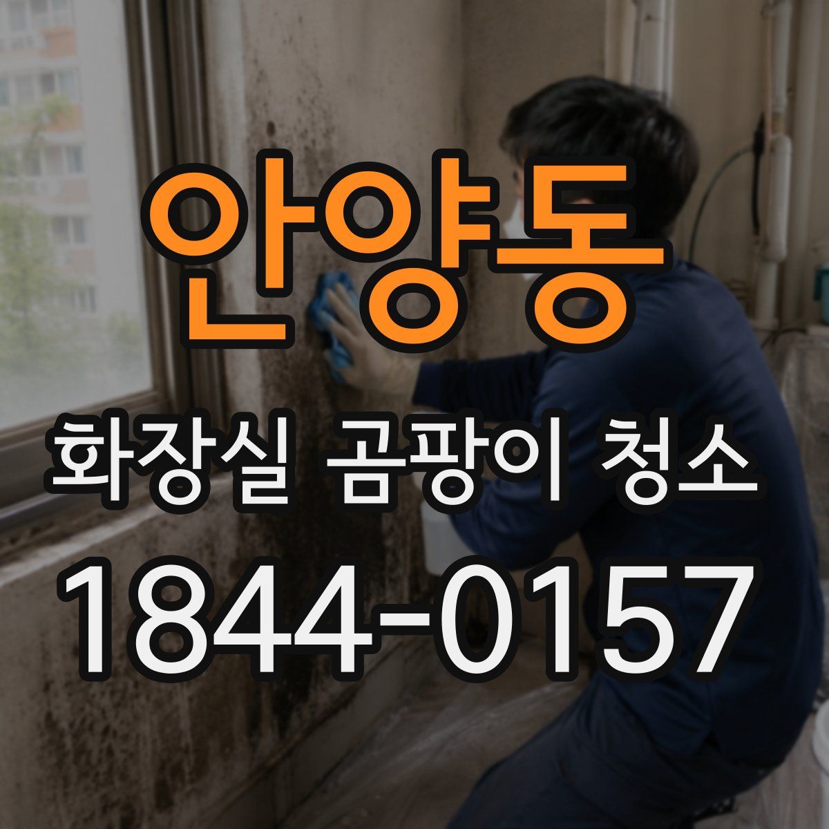 안양동 화장실 곰팡이 청소