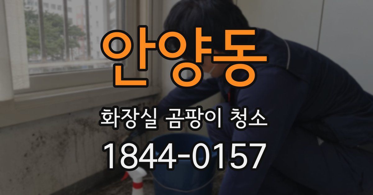 안양동 화장실 곰팡이 청소
