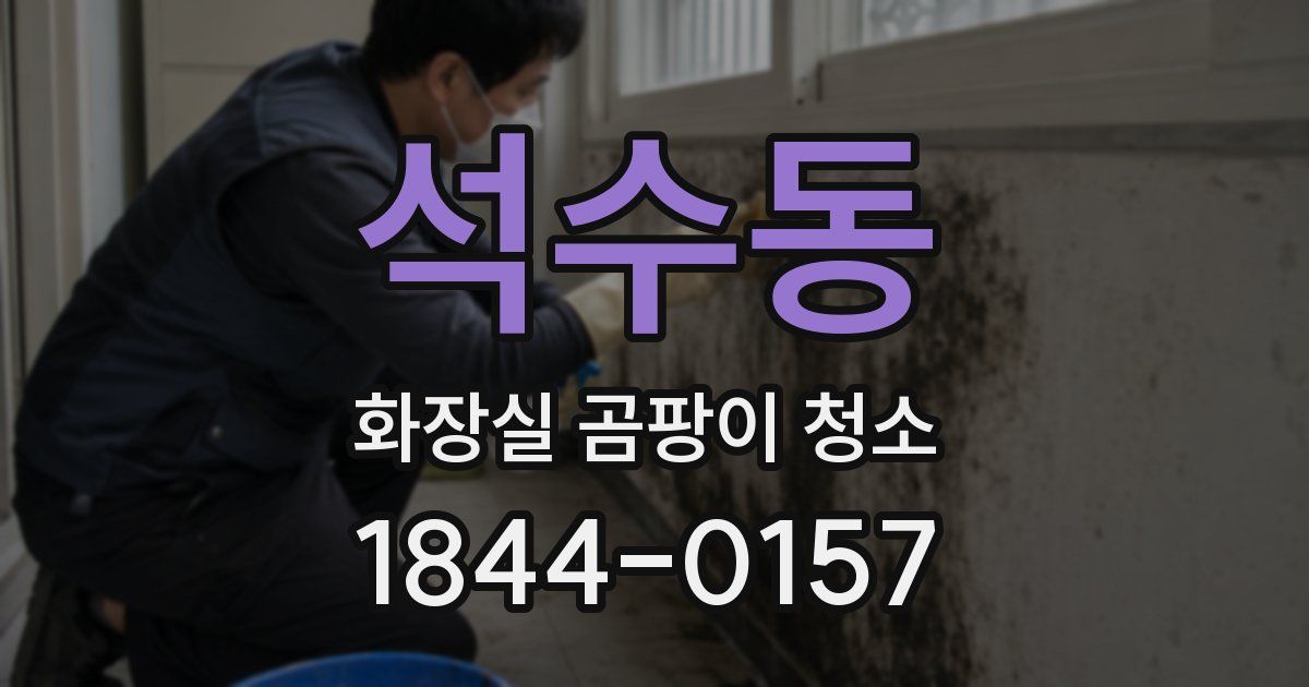 석수동 화장실 곰팡이 청소