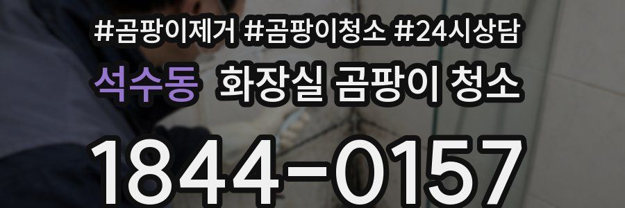 석수동 화장실 곰팡이 청소