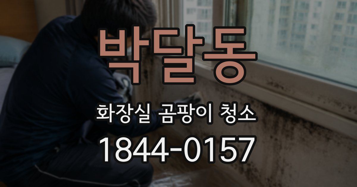 박달동 화장실 곰팡이 청소