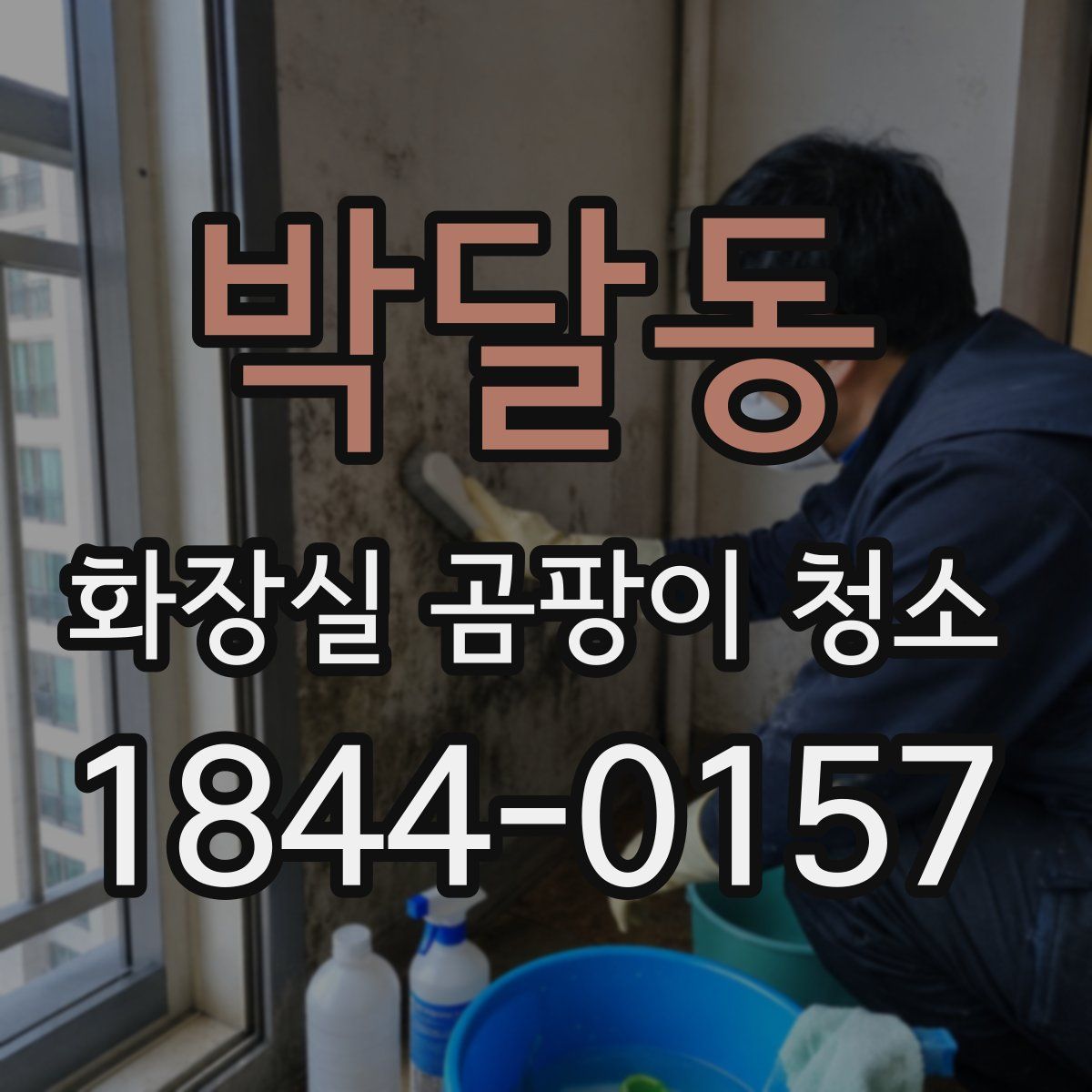 박달동 화장실 곰팡이 청소