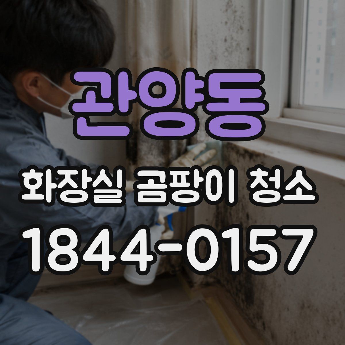 관양동 화장실 곰팡이 청소 틈새 오염을 줄이는 실전 대처
