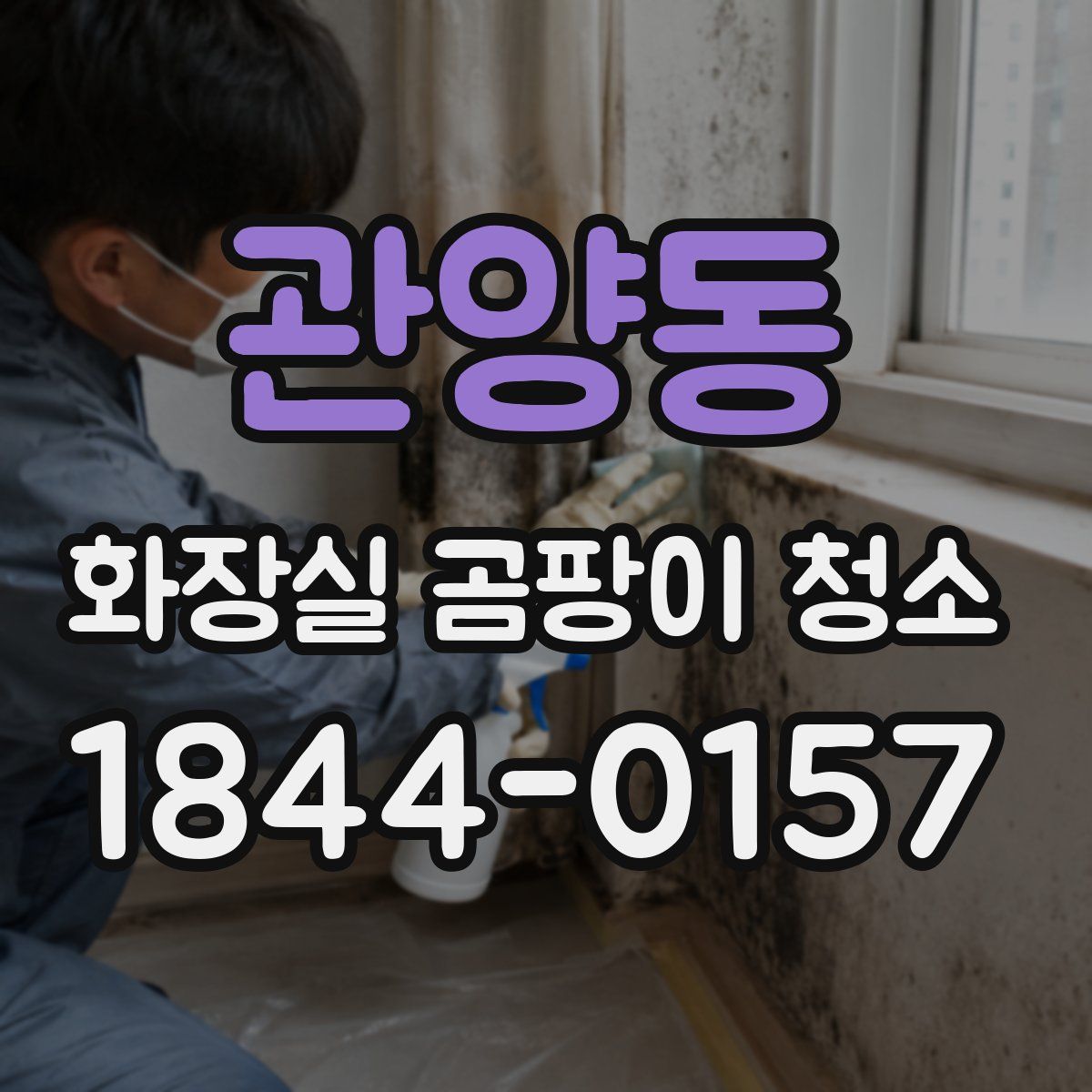관양동 화장실 곰팡이 청소