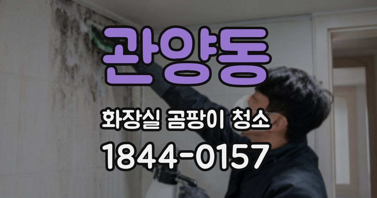 관양동 화장실 곰팡이 청소