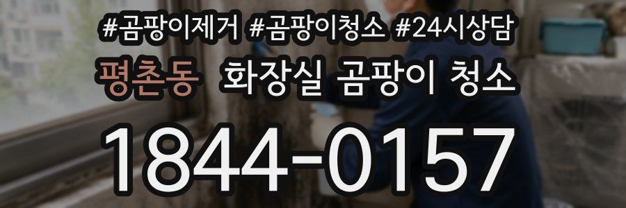 평촌동 화장실 곰팡이 청소