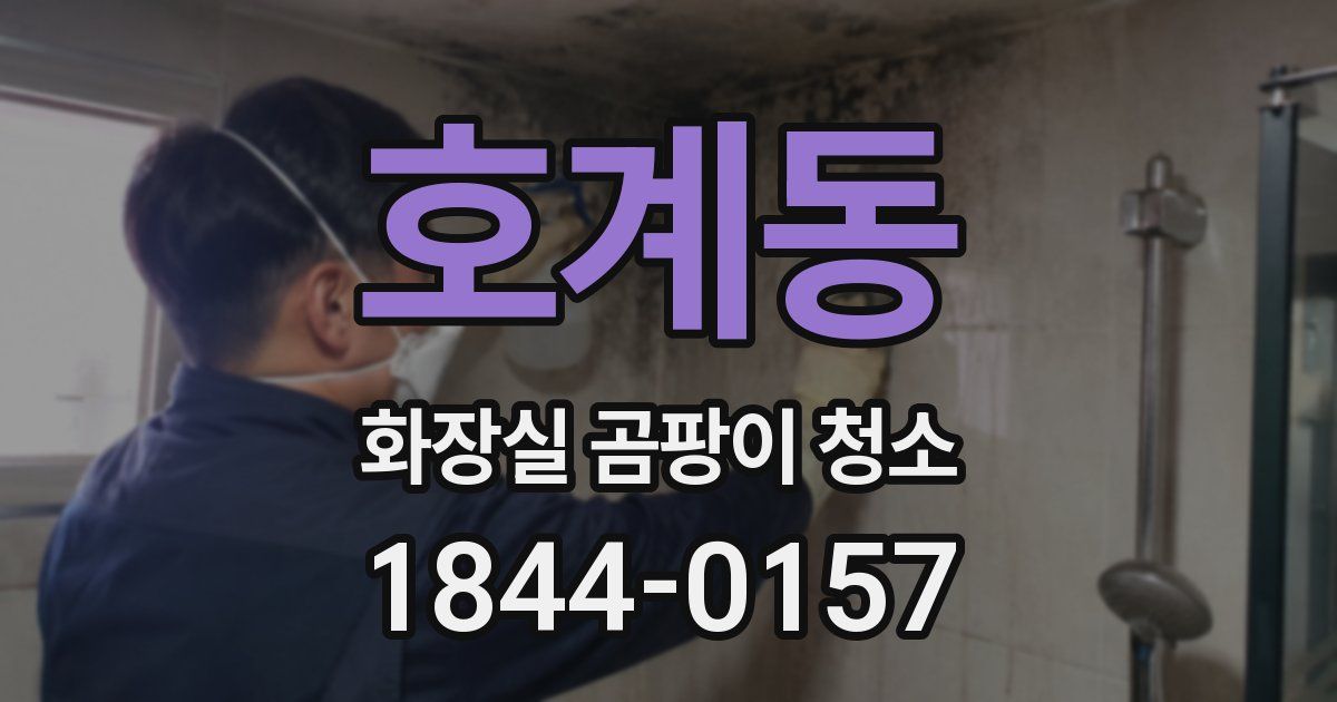 호계동 화장실 곰팡이 청소