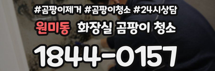 원미동 화장실 곰팡이 청소