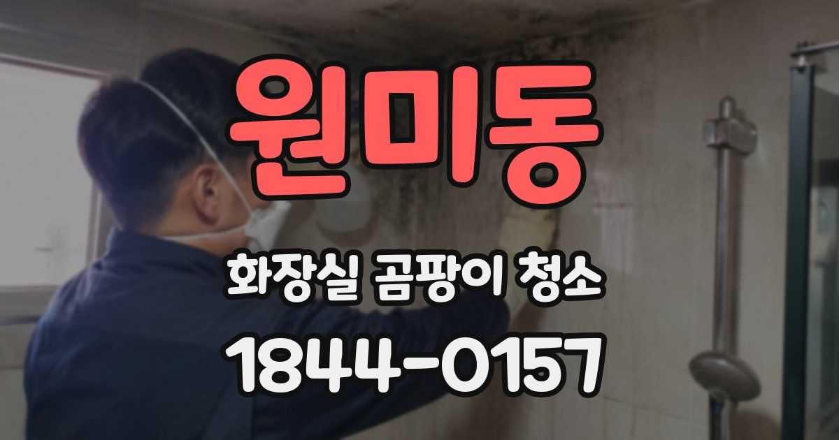 원미동 화장실 곰팡이 청소