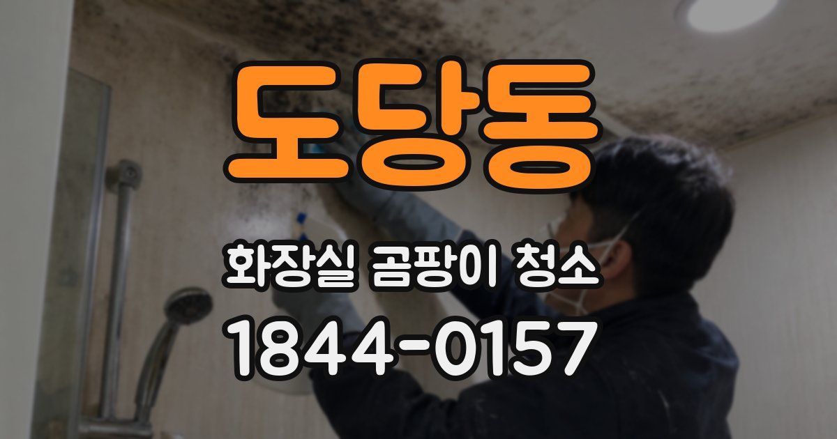 도당동 화장실 곰팡이 청소