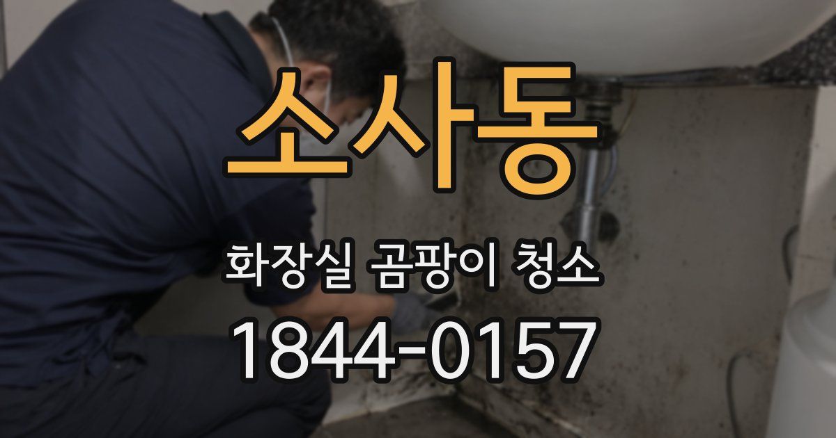 소사동 화장실 곰팡이 청소