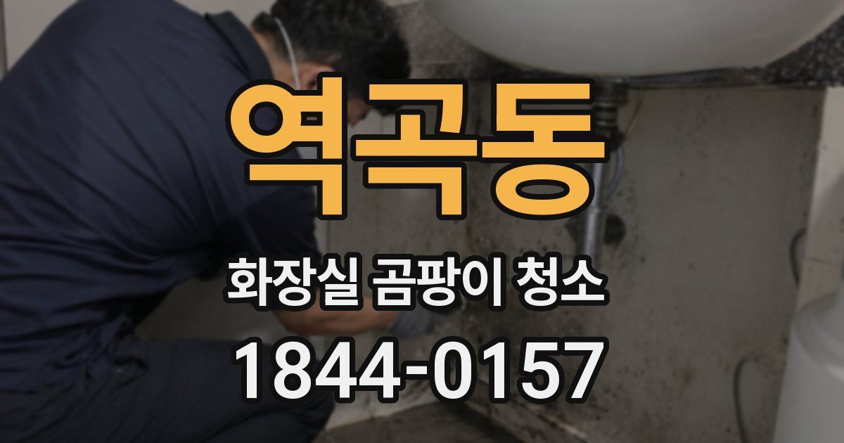 역곡동 화장실 곰팡이 청소