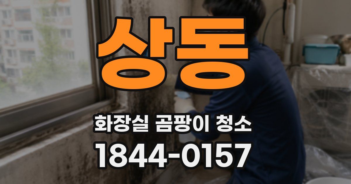 상동 화장실 곰팡이 청소