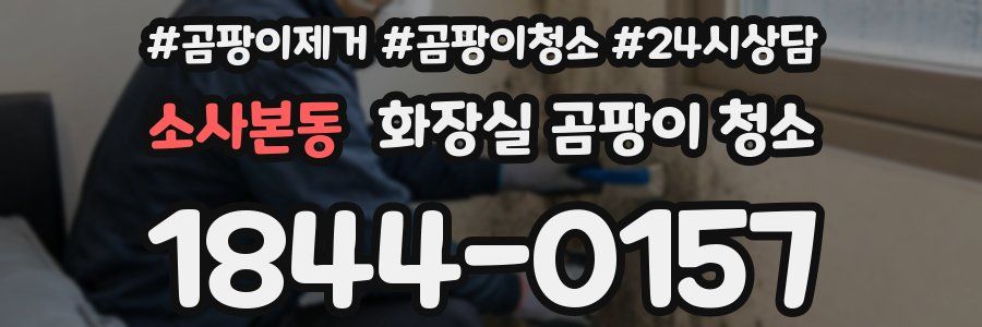 소사본동 화장실 곰팡이 청소