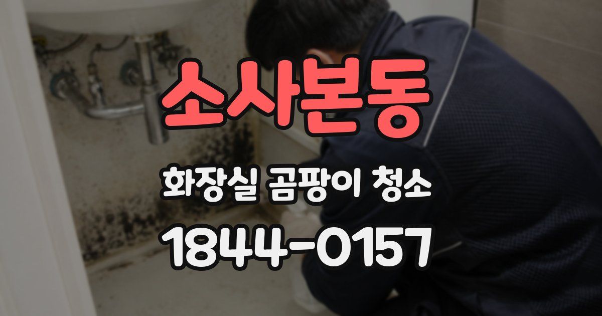 소사본동 화장실 곰팡이 청소
