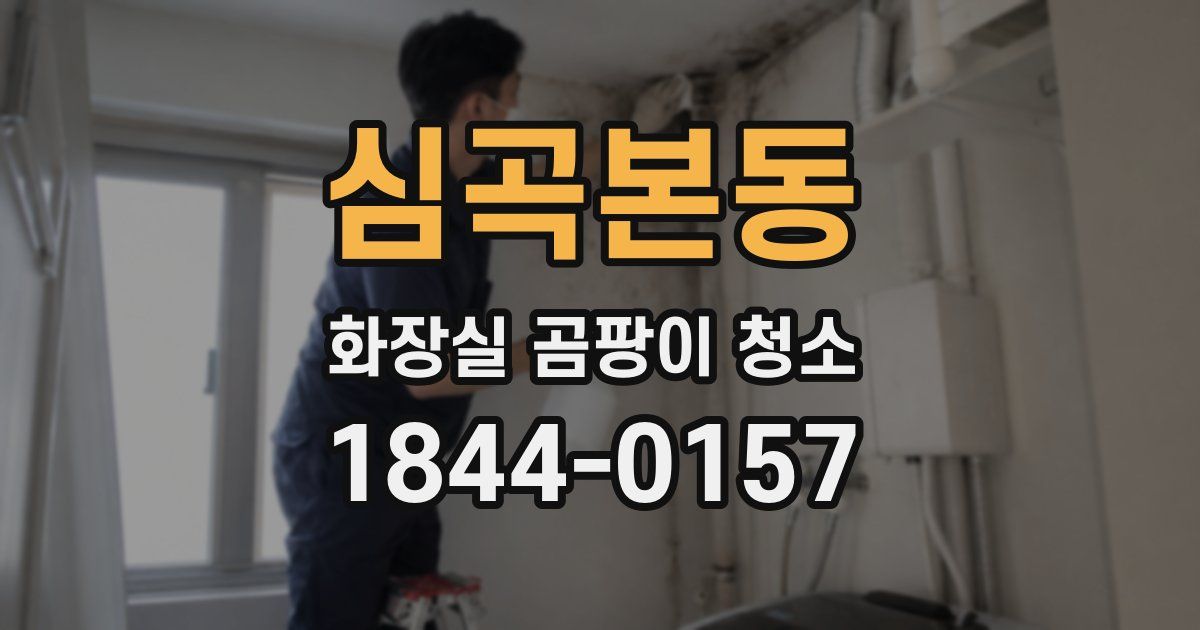 심곡본동 화장실 곰팡이 청소