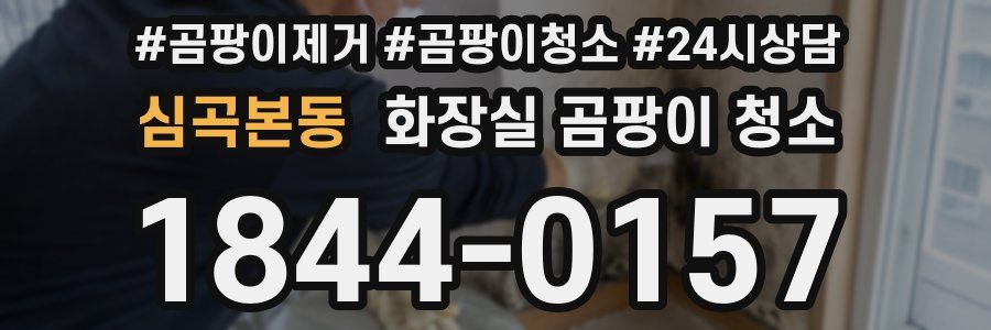심곡본동 화장실 곰팡이 청소