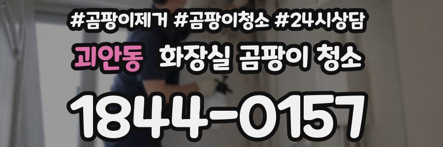 괴안동 화장실 곰팡이 청소