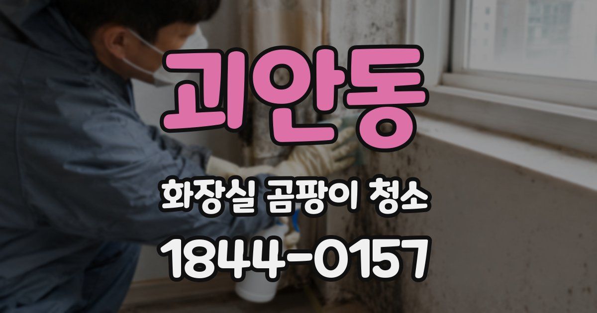 괴안동 화장실 곰팡이 청소