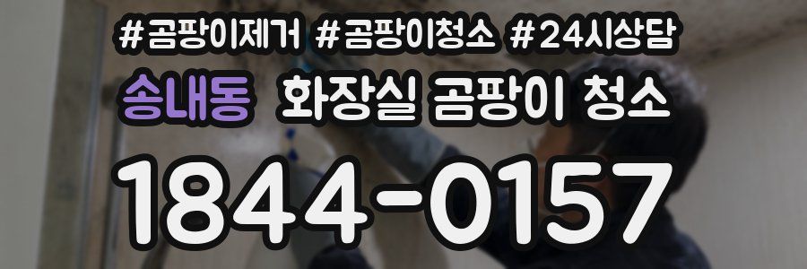 송내동 화장실 곰팡이 청소