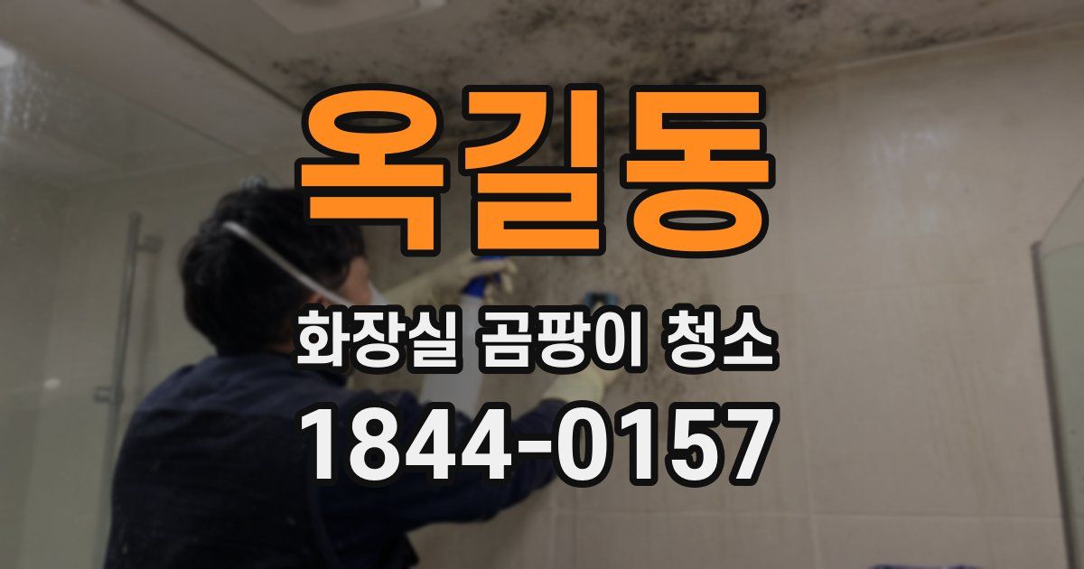옥길동 화장실 곰팡이 청소