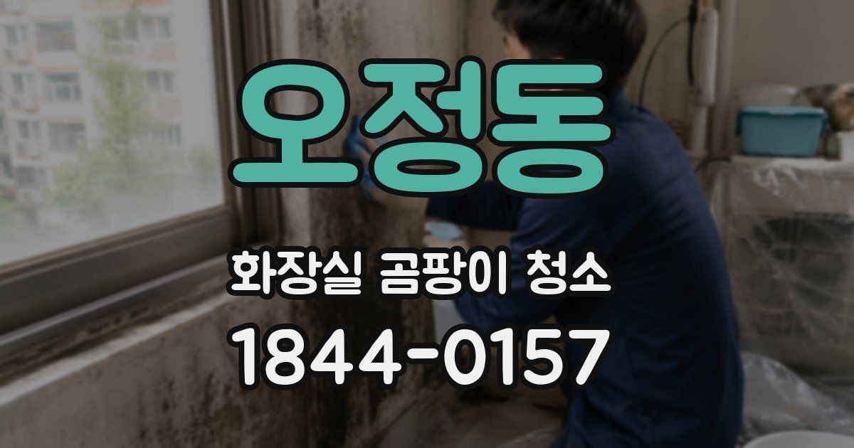 오정동 화장실 곰팡이 청소
