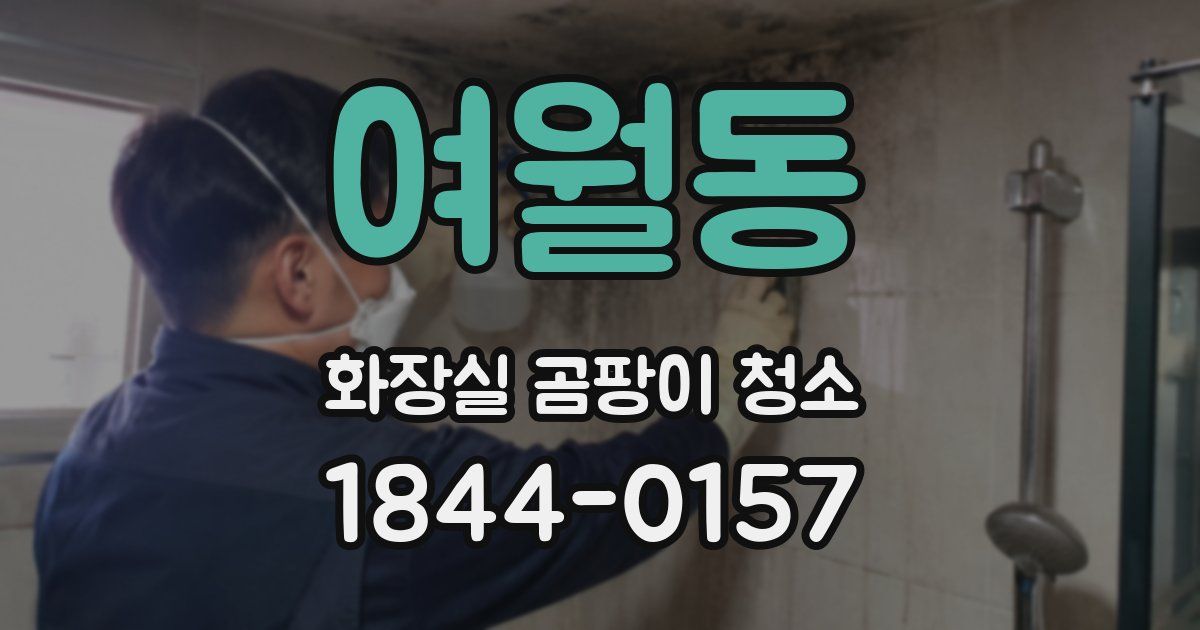 여월동 화장실 곰팡이 청소