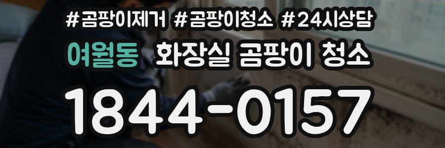 여월동 화장실 곰팡이 청소