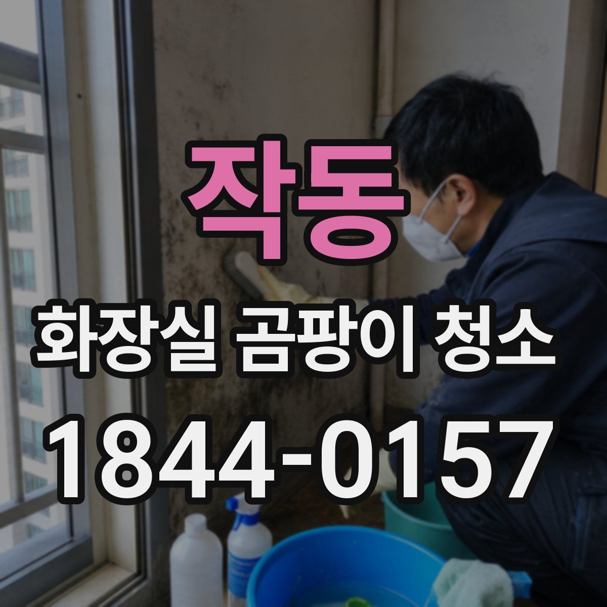 작동 화장실 곰팡이 청소