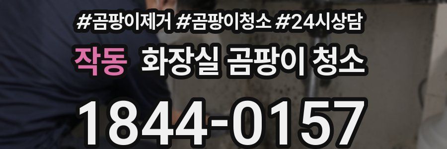 작동 화장실 곰팡이 청소
