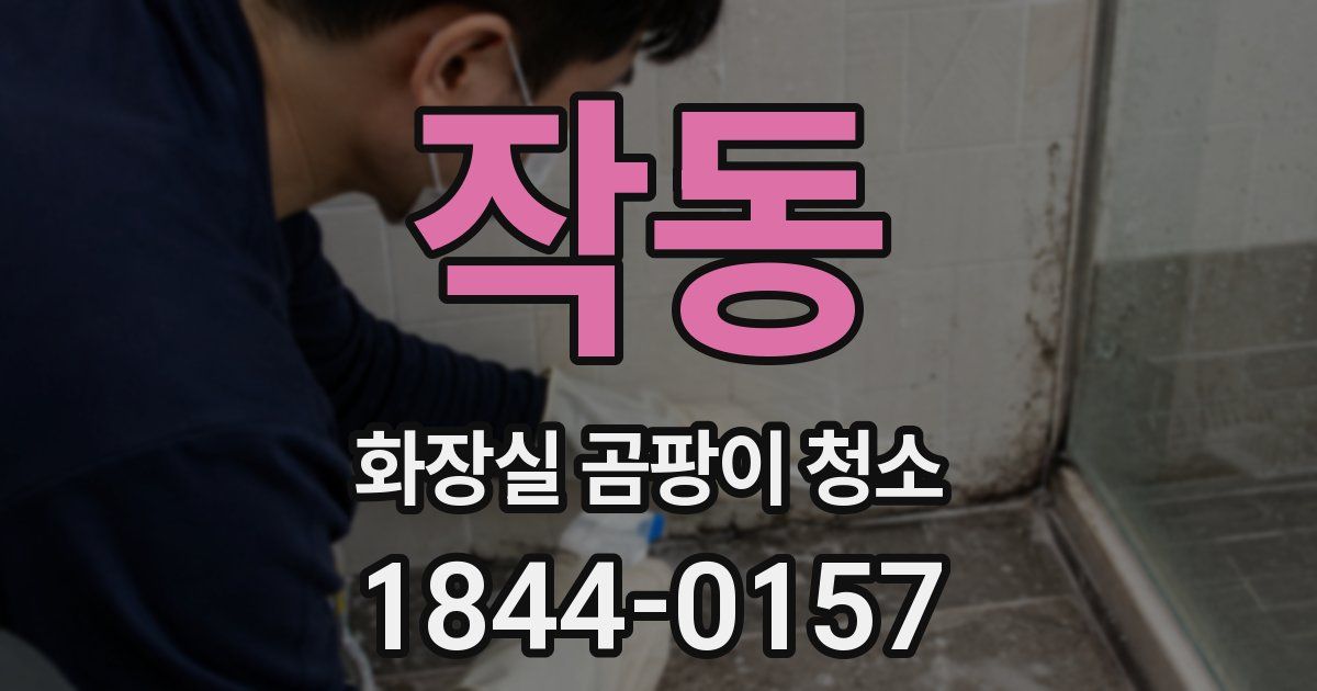 작동 화장실 곰팡이 청소