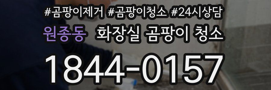 원종동 화장실 곰팡이 청소