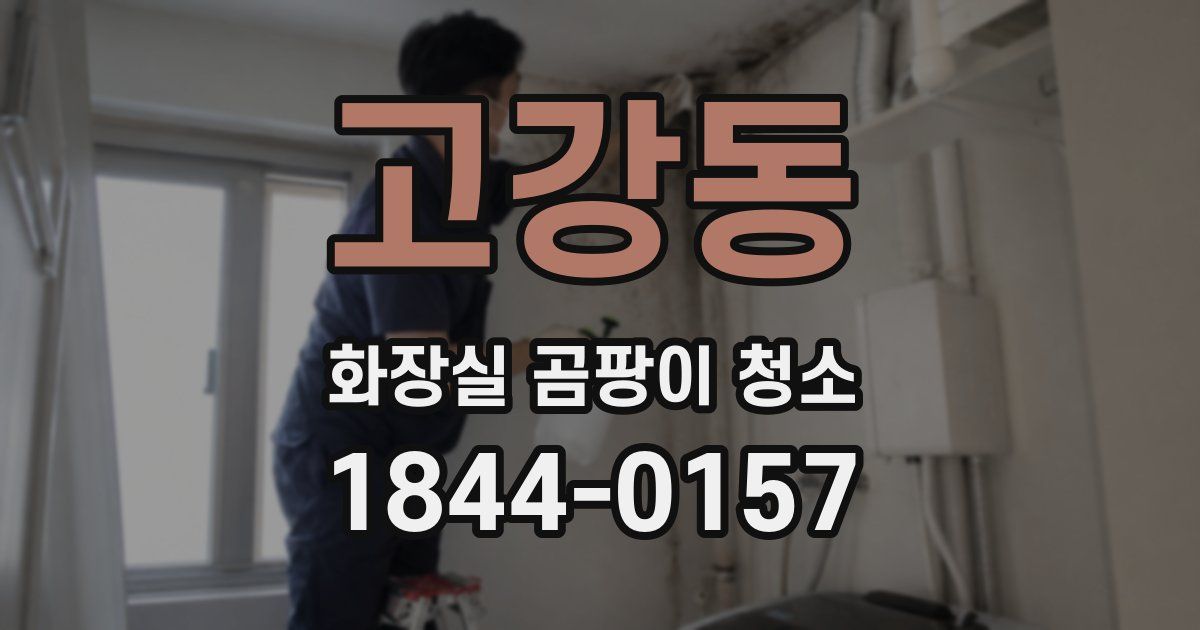 고강동 화장실 곰팡이 청소
