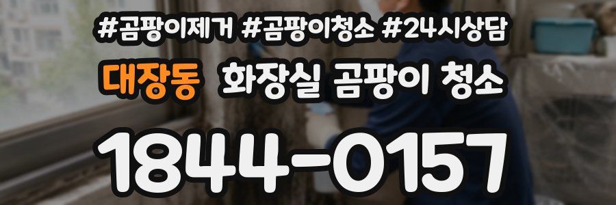 대장동 화장실 곰팡이 청소