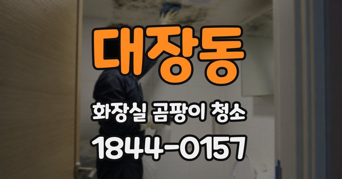 대장동 화장실 곰팡이 청소