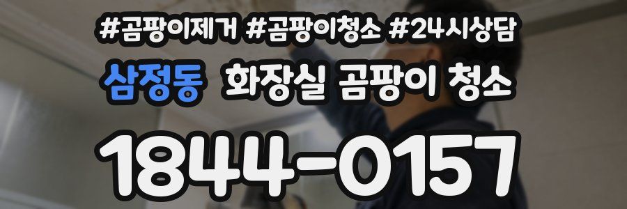 삼정동 화장실 곰팡이 청소