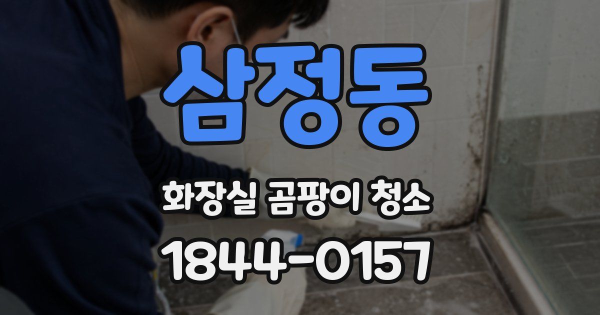 삼정동 화장실 곰팡이 청소