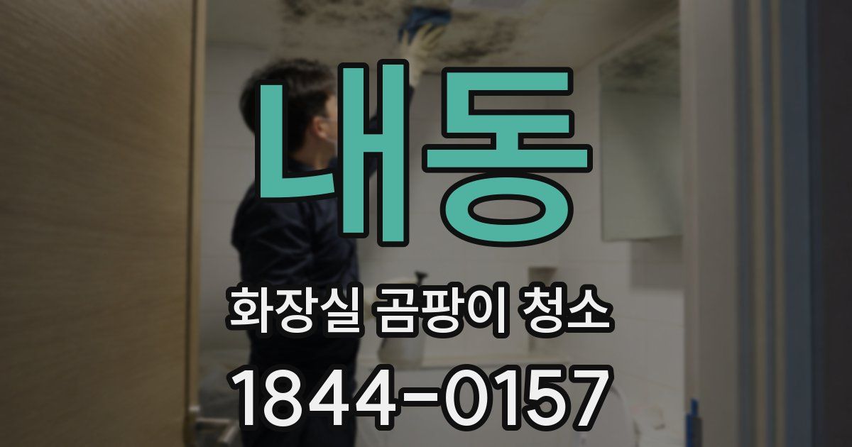 내동 화장실 곰팡이 청소