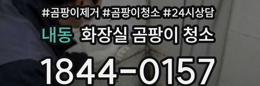 내동 화장실 곰팡이 청소
