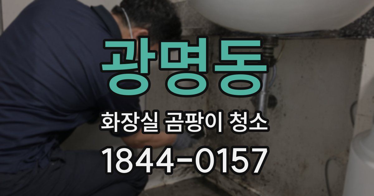 광명동 화장실 곰팡이 청소