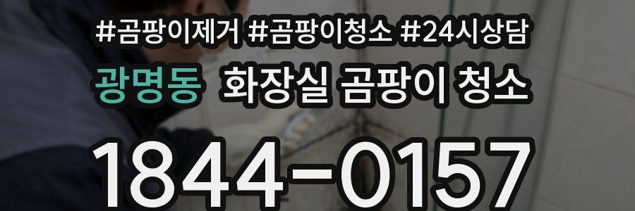광명동 화장실 곰팡이 청소
