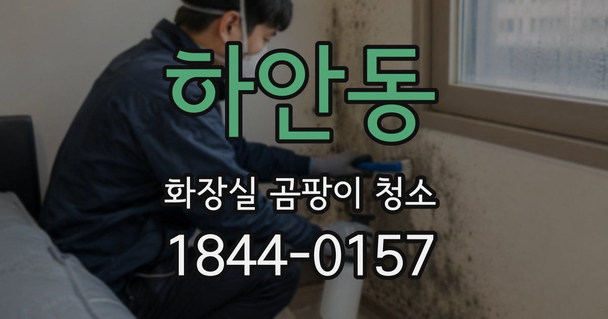 하안동 화장실 곰팡이 청소