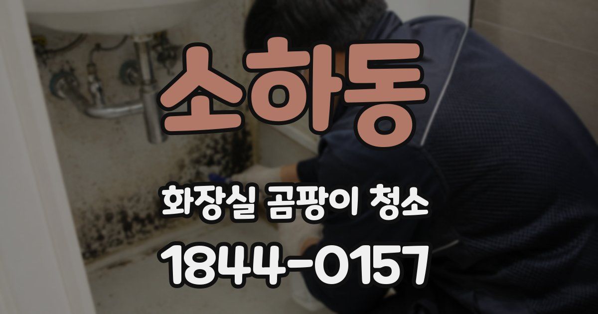 소하동 화장실 곰팡이 청소