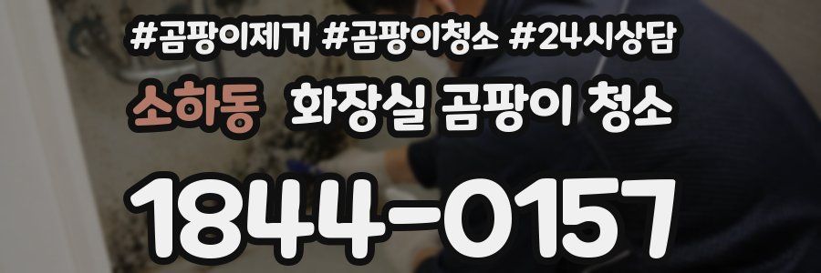 소하동 화장실 곰팡이 청소