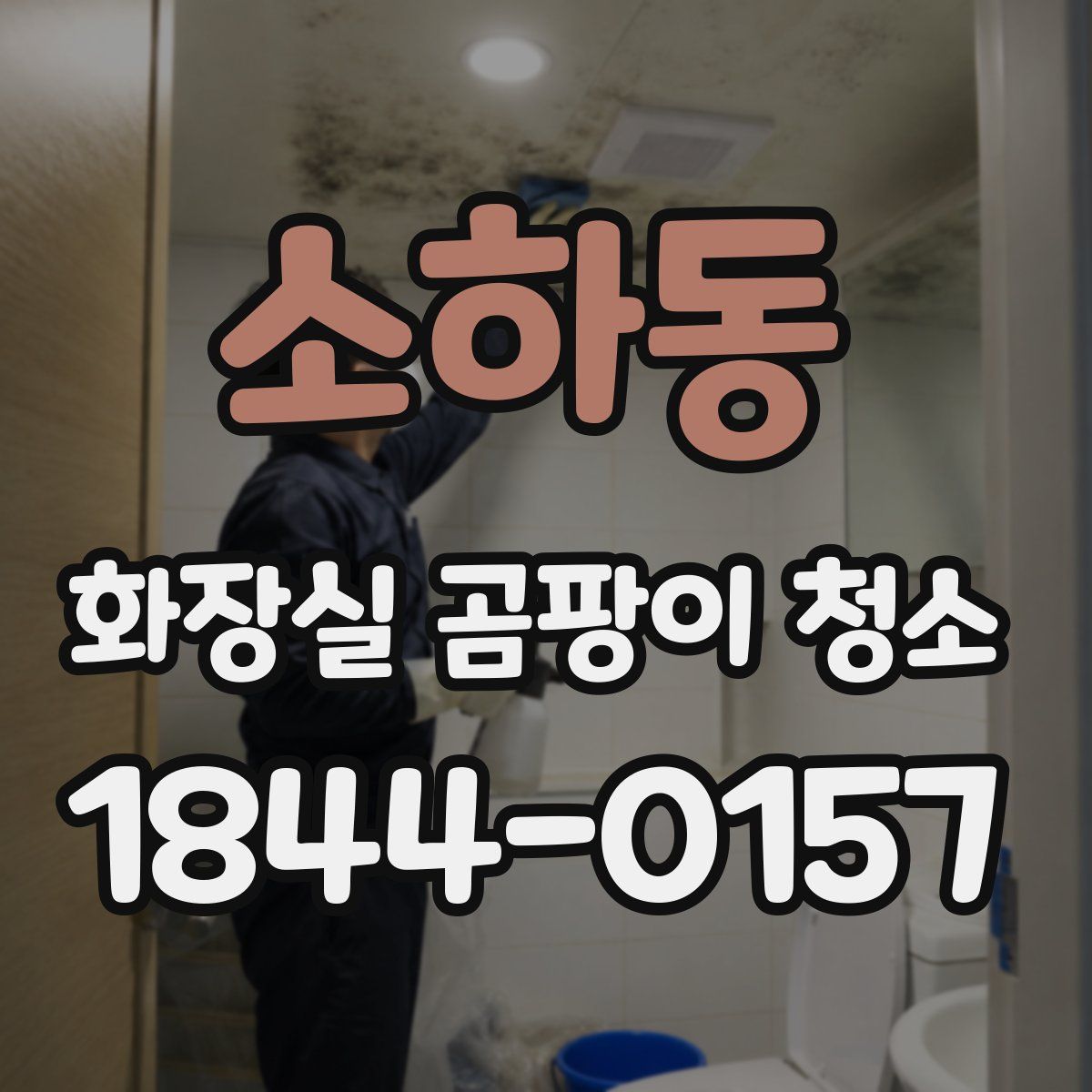 소하동 화장실 곰팡이 청소