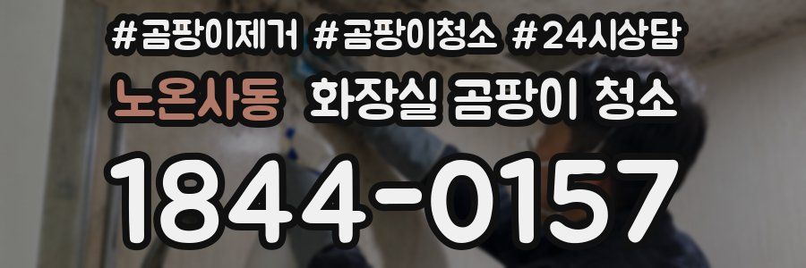 노온사동 화장실 곰팡이 청소